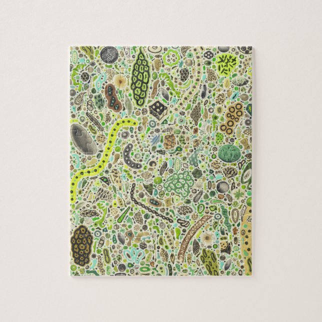 Livscykler Pussel (Vertikal)