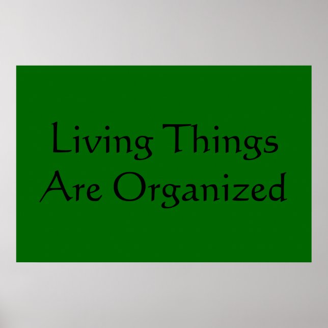 Livsegenskaper Poster (Framsidan)