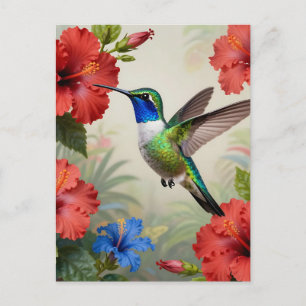 Livsglad Kolibri Hibiskus Blommig Vykort