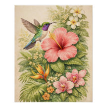 Livsglad Tropisk Kolibri Botanisk Hibiskus
