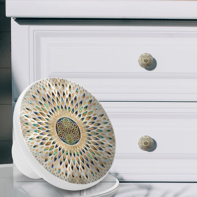 Livslängd - Abalone Snäcka och Pearl Knopp (Skapare uppladdad)