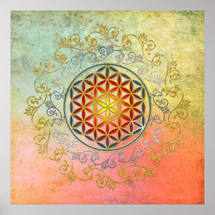 Livslängd/Blume des Lebens - Ornament IV BG Poster