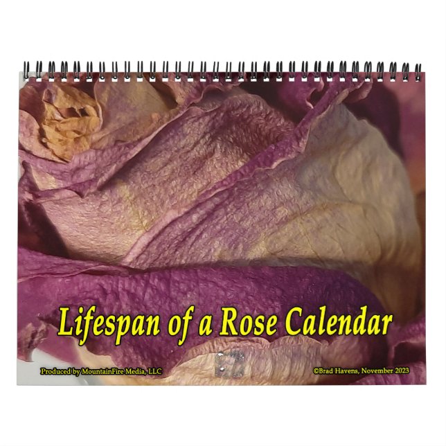 Livslängd för en kalender i Ro (Omslag)