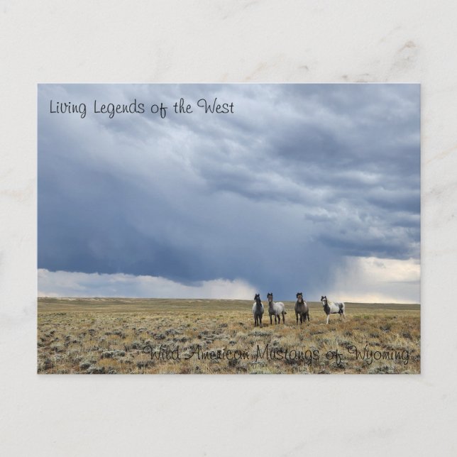 Livslängd för Västern - vykort (Framsida)