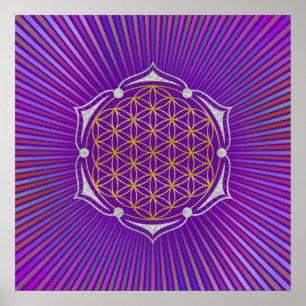 Livslängd - Lotus guld silver Poster
