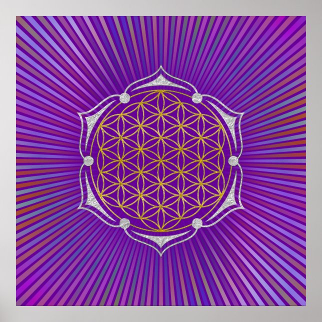 Livslängd - Lotus guld silver Poster (Framsidan)