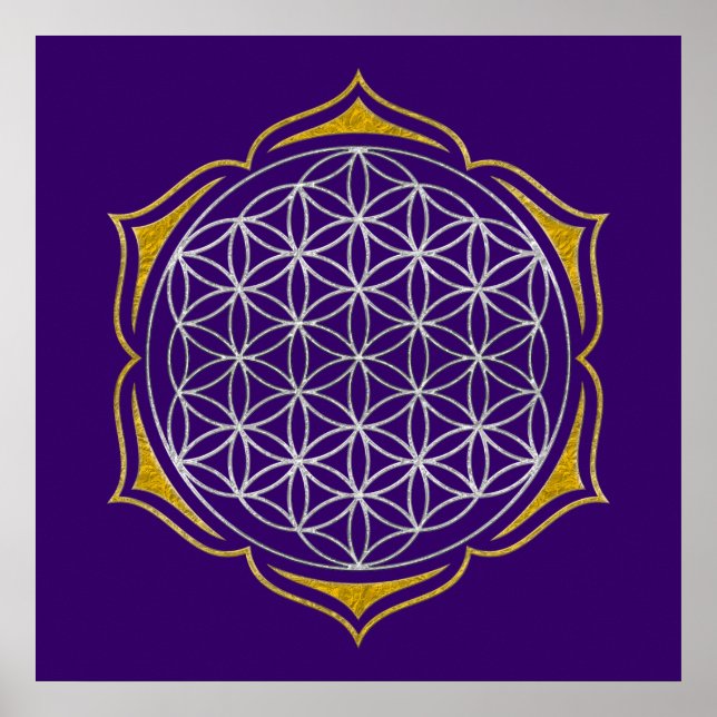 Livslängd - Lotus silver guld Poster (Framsidan)