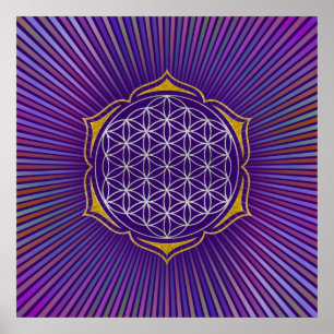 Livslängd - Lotus silver guld Poster