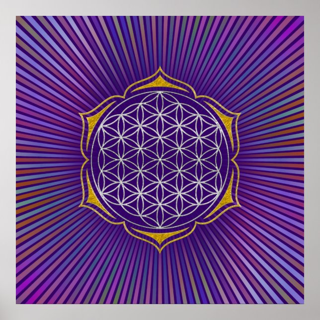 Livslängd - Lotus silver guld Poster (Framsidan)