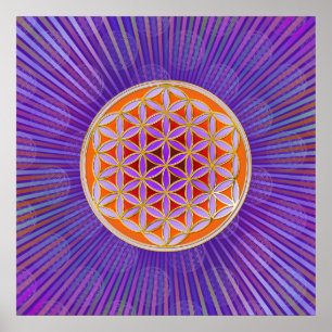 Livslångt blomma - Button orange violet Stil Poster