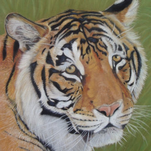 Livslångt liv porträtt av tiger big cat pussel