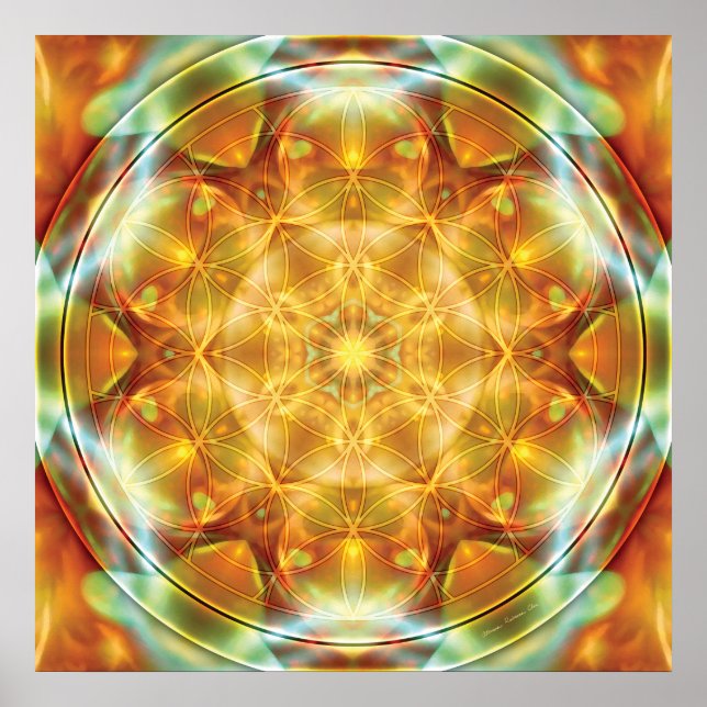Livslångt Mandala 16 Poster (Framsidan)