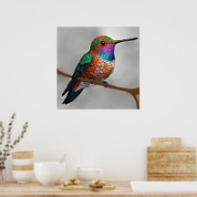 Livslevande målning av Allens kolibri