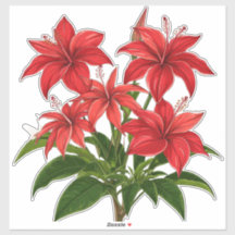 Livslevande röd hibiskusblomsterbukett