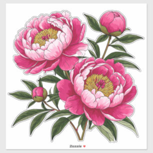 Livslevande rosa peoniblommig konst klistermärken