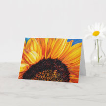 Livslevande solroskonst Blommig blomma Notkort