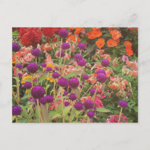 Livsmedel Store Flowers Vykort