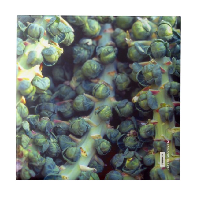 Livsmedelsbricka Kakelplatta (Framsidan)