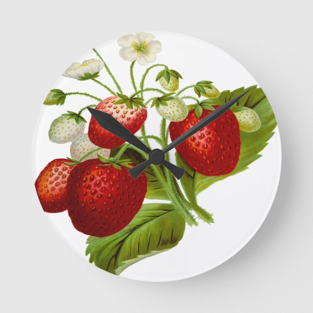Livsmedelsfrukt löv leafy löv rund klocka (Framsida)