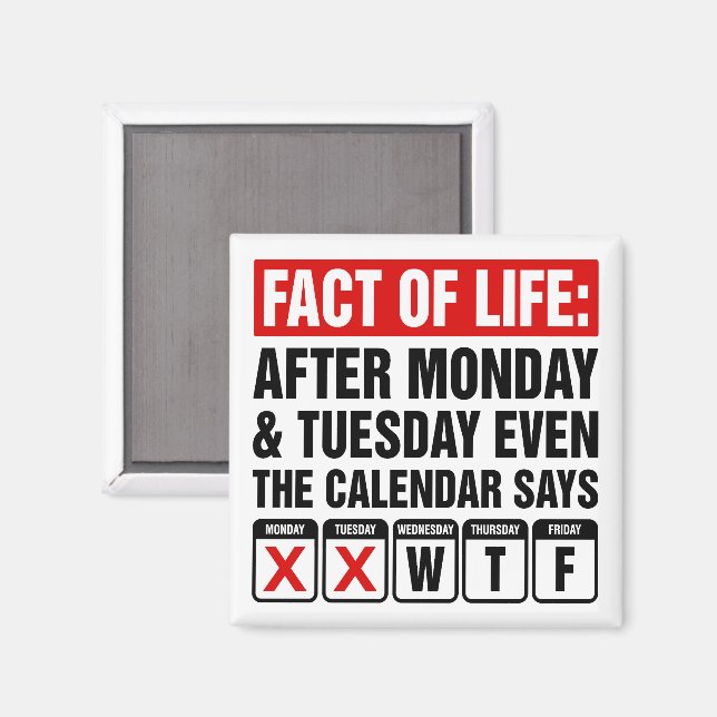 Livsrealitetskalender säger WTF Humor Magnet (Front/Back)