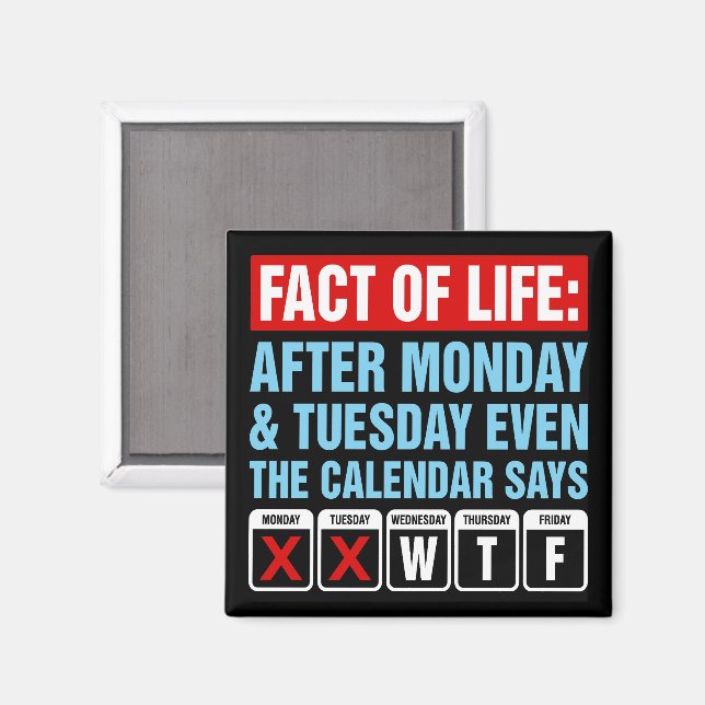 Livsrealitetskalender säger WTF Humor Magnet (Front/Back)