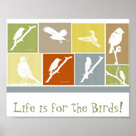 Livstiden är för poster fåglar