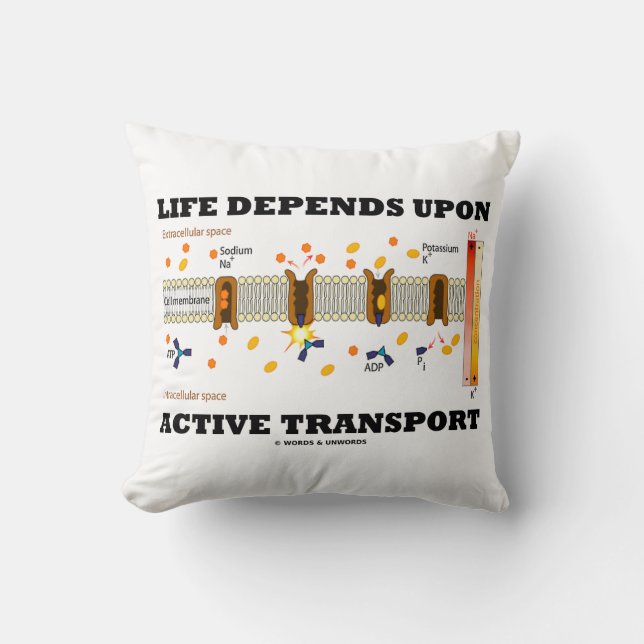Livstiden beror på aktiv transport NA-K-pump Kudde (Framsida)