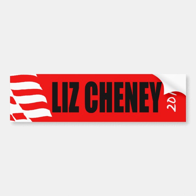 LIZ CHENEY BILDEKAL (Framsidan)