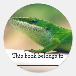 Lizard Älskare Anole Bok Sticker Runt Klistermärke