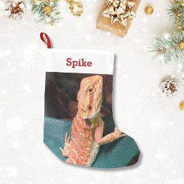 Lizard Älskare Pet Photo och Namn Personlig Liten Julstrumpa