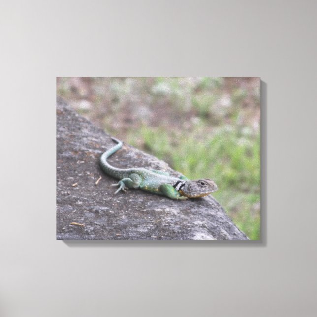 Lizard Canvastryck (Framsida)