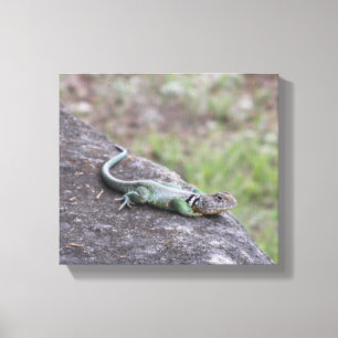Lizard Canvastryck