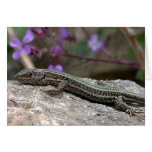Lizard Card Hälsningskort