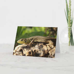 Lizard Card Kort