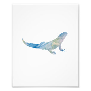 Lizard Colorful Watercolor Fototryck
