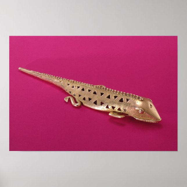 Lizard från Colombia Poster (Framsidan)