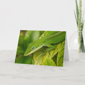 Lizard GC 001 Kort