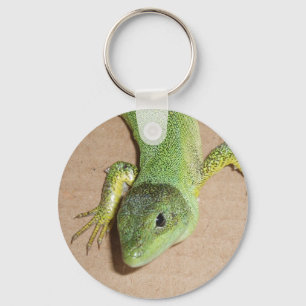 Lizard Keychain Nyckelring