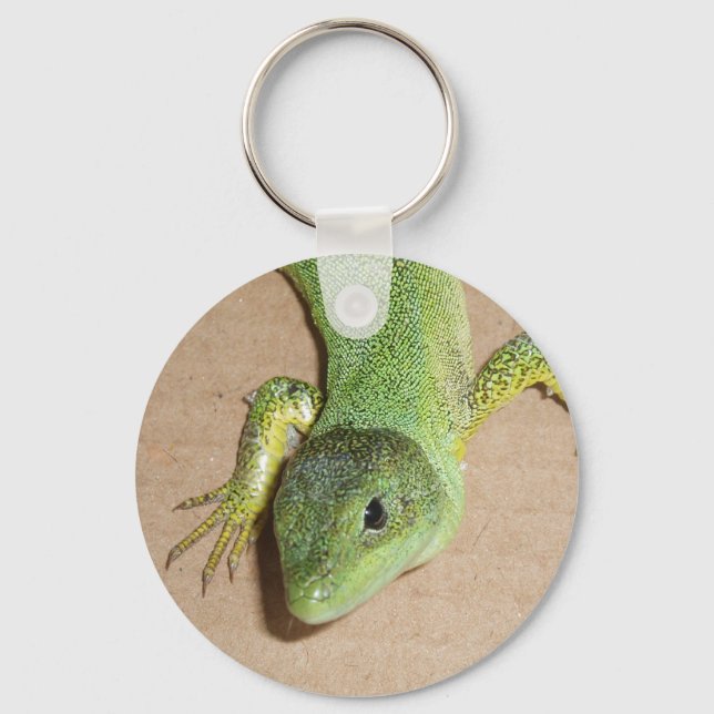 Lizard Keychain Nyckelring (Framsida)