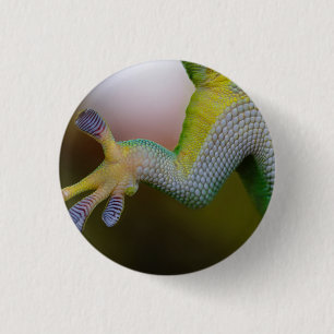 Lizard - knapp