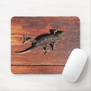 Lizard Musmatta