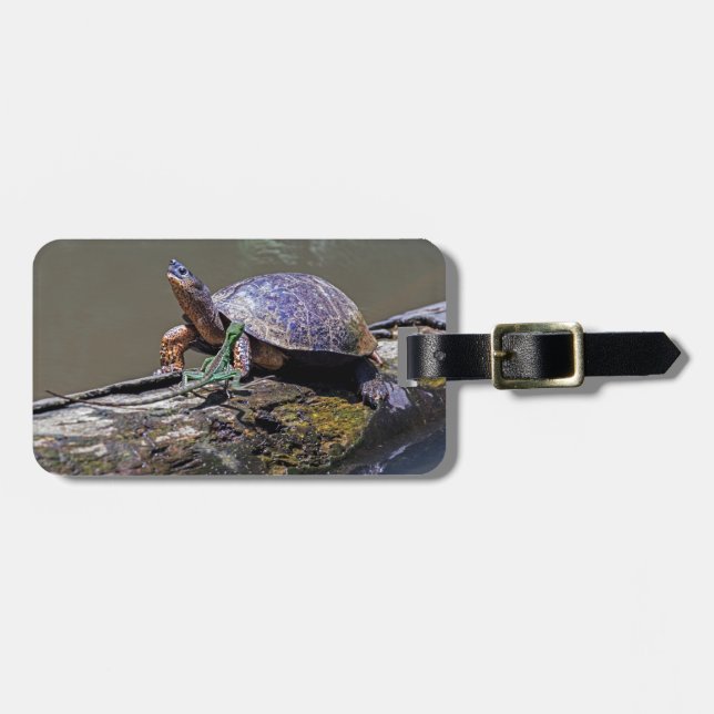 Lizard och Turtle vid Tortuguero - Costa Rica Bagagebricka (Horisontell Framsida)