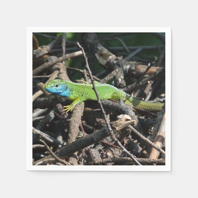 Lizard Photo Cocktail Papper Napkins Pappersservett (Framsidan)