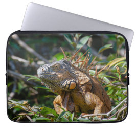 Lizard Photography, Orange Iguana Laptop Fodral
