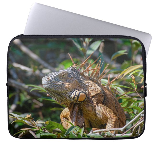 Lizard Photography, Orange Iguana Laptop Fodral (Framsidan)
