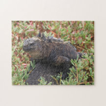 Lizard Puzzle