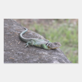 Lizard Rektangulärt Klistermärke