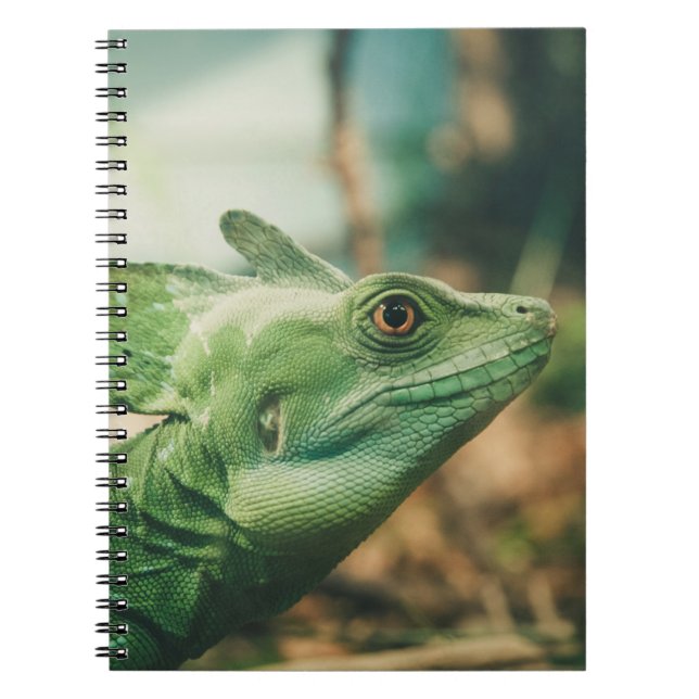 Lizard vaktar stängning av vyn öga anteckningsbok (Framsidan)