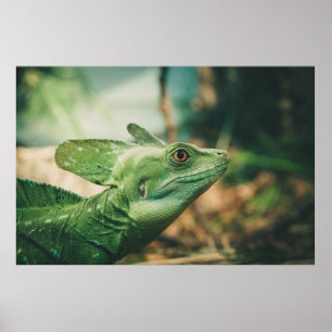 Lizard vaktar stängning av vyn öga poster