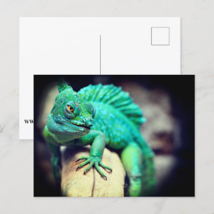 Lizard Vykort